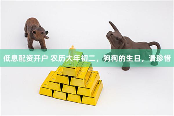 低息配资开户 农历大年初二，狗狗的生日，请珍惜